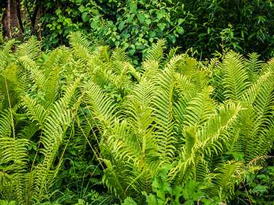 Natuurterrein Klarenbeek