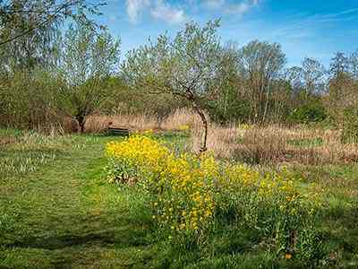 Natuurterrein Klarenbeek