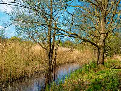 Natuurterrein Klarenbeek