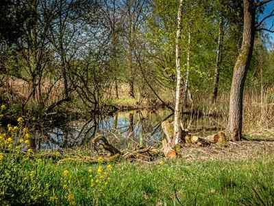 Natuurterrein Klarenbeek