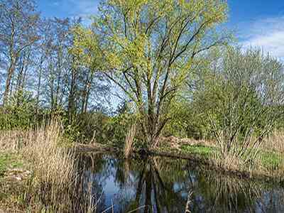 Natuurterrein Klarenbeek
