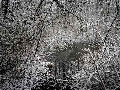 De Riethoek in de Winter