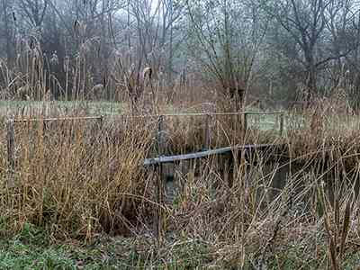 De Riethoek in de Winter